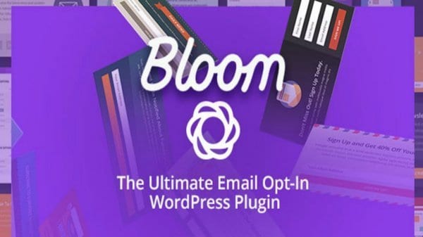 Bloom newsletter