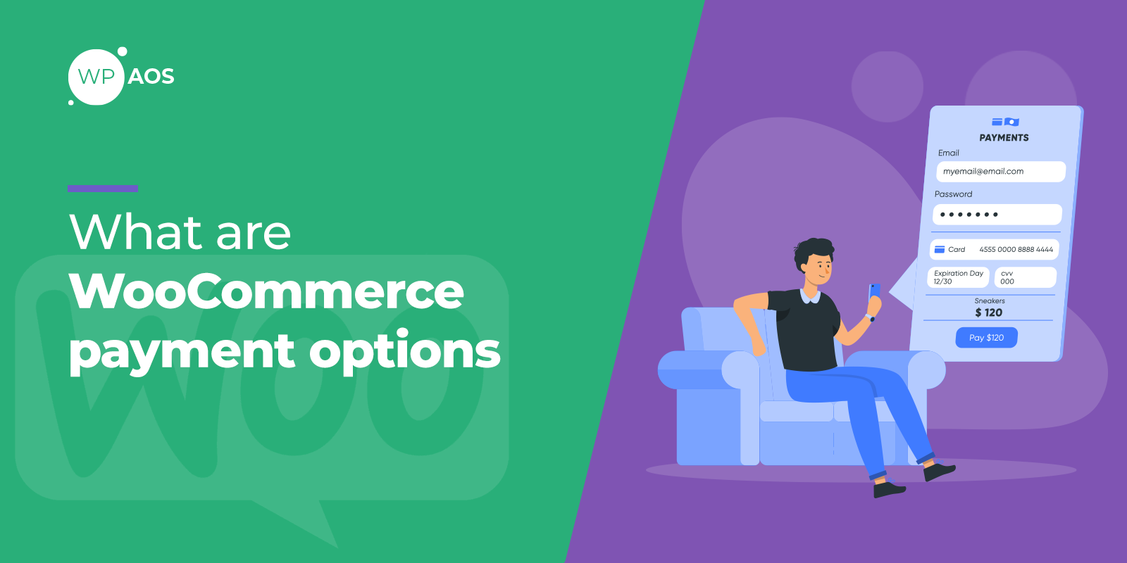 what-are-woocommerce-payment-options
